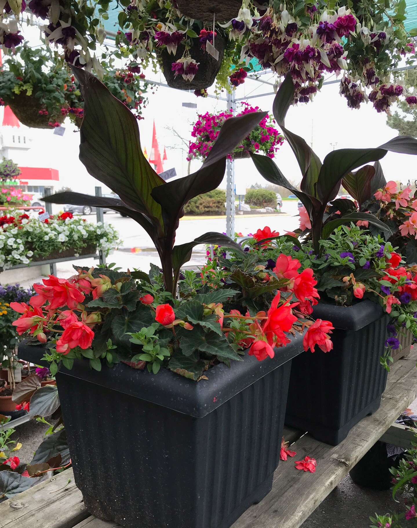 Garden Centre Bellville - greenartPlan